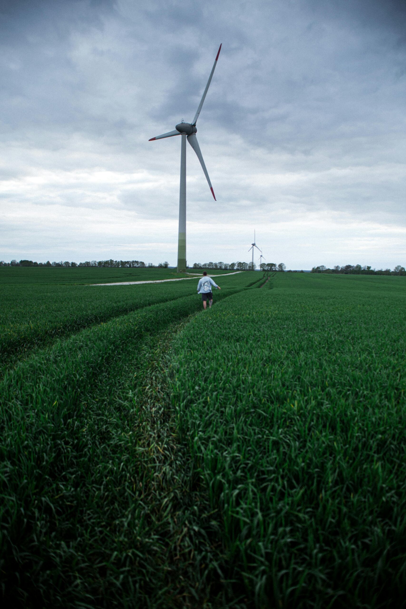 Source: https://www.pexels.com/photo/a-man-walking-on-the-grass-field-8698665/